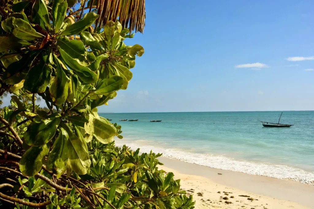 kipepeo lodge beach villa in jambiani zanzibar 17