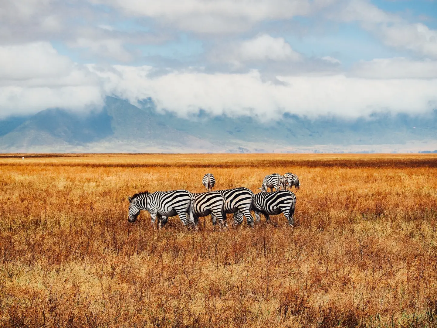 ngorongoro crater 2