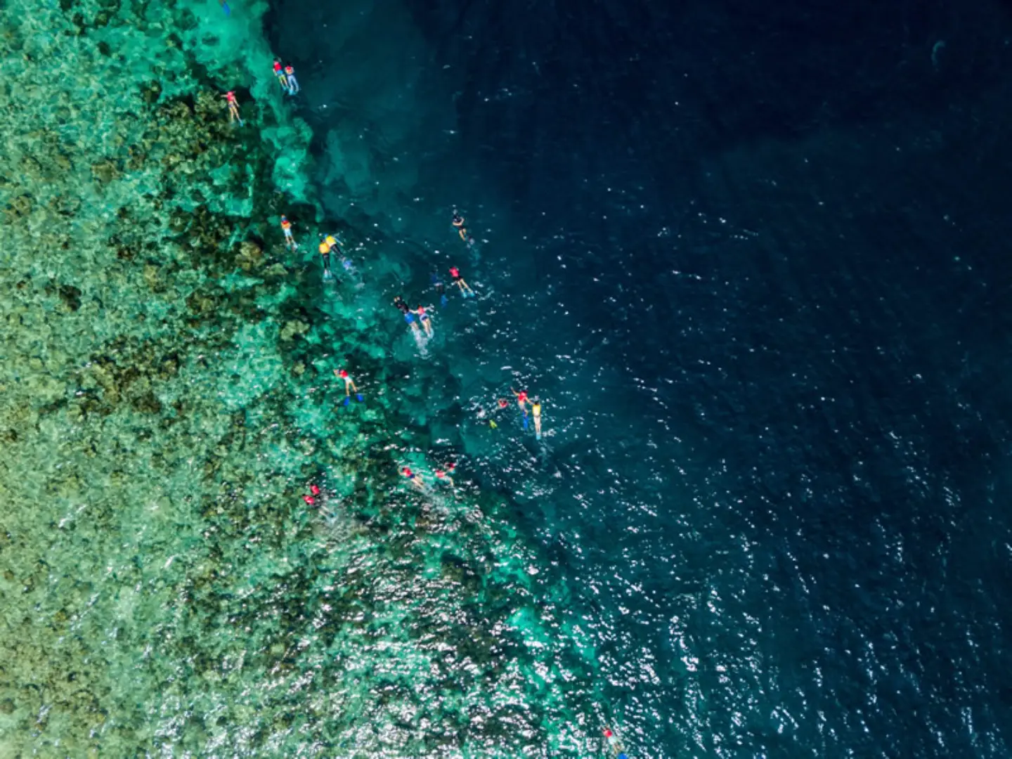 snorkelling trip